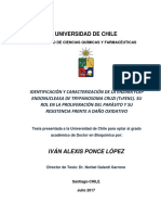 Universidad de Chile: Iván Alexis Ponce López