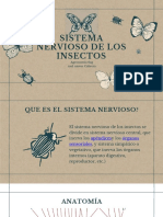 Sistema Nervioso de Los Insectos: Agronomía 6ag Saul Nieves Cabrera