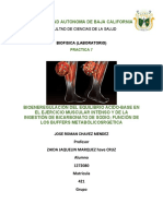 Practica 7 PDF