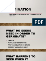 Seed Germination: Development of The Seed Into A Young Plant or Seedling