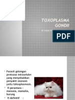 Toxoplasma Gondii: DR Lieza D Susiawan, M.Kes