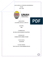 Tipos de Complexiones Corporales | PDF