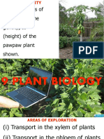 Give Two Ways of Determining The Genotypes (Height) of The Pawpaw Plant Shown