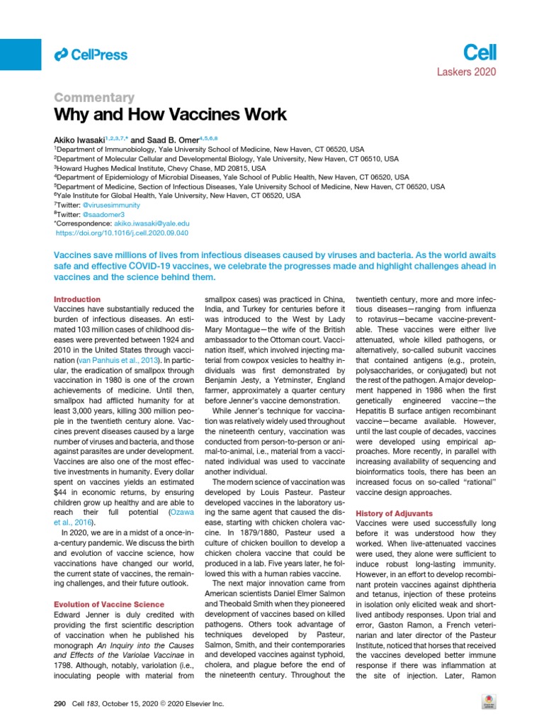 Why And How Vaccines Work Pdf Vaccines Virus