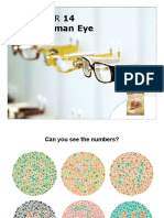 Human Eye Powerpoint Slides