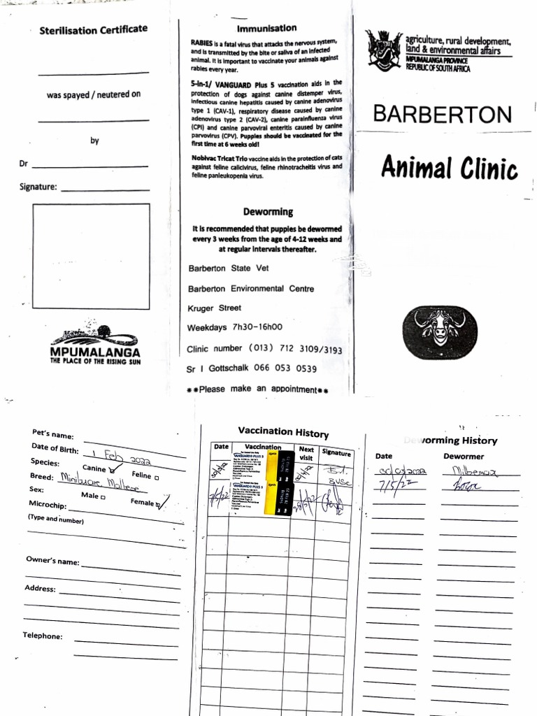 Coco's Vaccination & Deworming History | PDF | Dogs | Rabies
