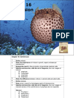 Cell Division Powerpoint Slides