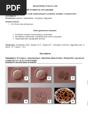 Untitled | PDF