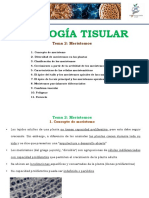 Tema 2 Meristemos V250920