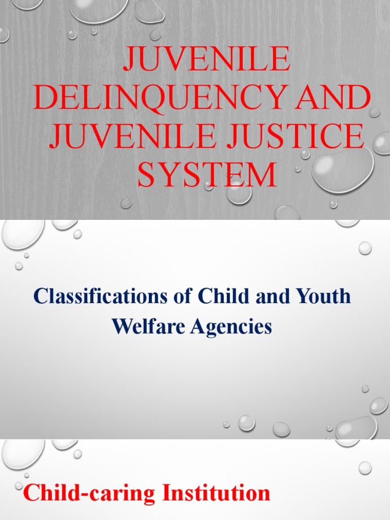 Juvenile Justice & Child Welfare Overview | PDF | Prostitution | Human ...