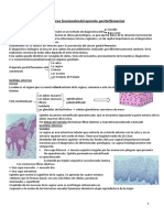 U.D.1 Anatomía y Características Funcionales Del Aparato Genital Femenino