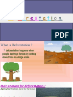 Deforestation (Science Presentation.)