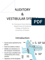 Auditory & Vestibular System
