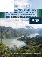 Informe Cundinamarca Recursos Naturales 2020