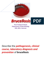 Brucellosis