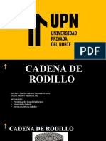 Rodillo de Cadena-Grupo6