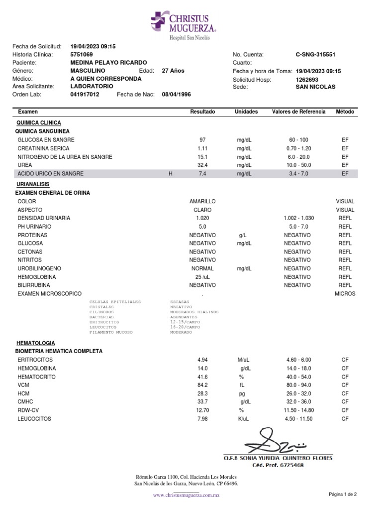 Ejemplo quimica sanguinea | PDF | Sangre | Especialidades Medicas