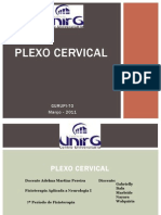 Plexo Cervical - 20011