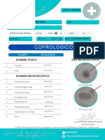 Resultado Analisis Coprologico 2