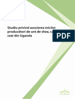 Studiu Producatori Uganda