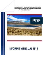 Informe Mensual #1