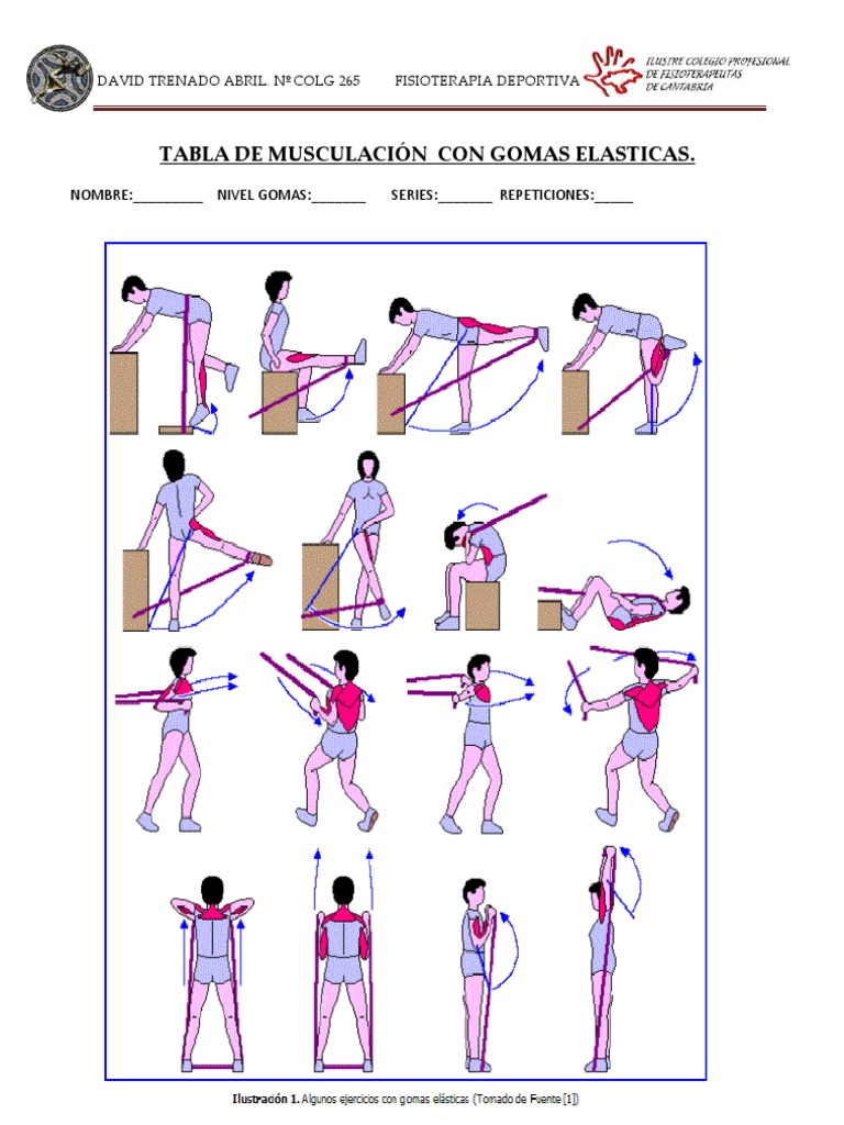 Tabla de MusculaciÓn Con Gomas Elasticas