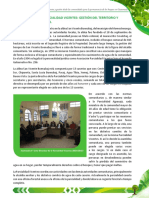 Caso de La Parcialidad Vicentes Gestión Del Territorio y Gobierno Local