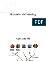 Hierar Scale4