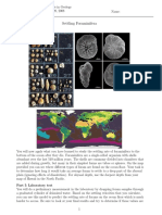 Calculating Foraminifera Settling Rates in the Ocean