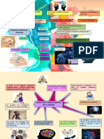 Proceso Congnitivo-Memoria