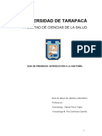 Universidad de Tarapacá: Facultad de Ciencias de La Salud