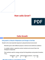 How Cells Grow?