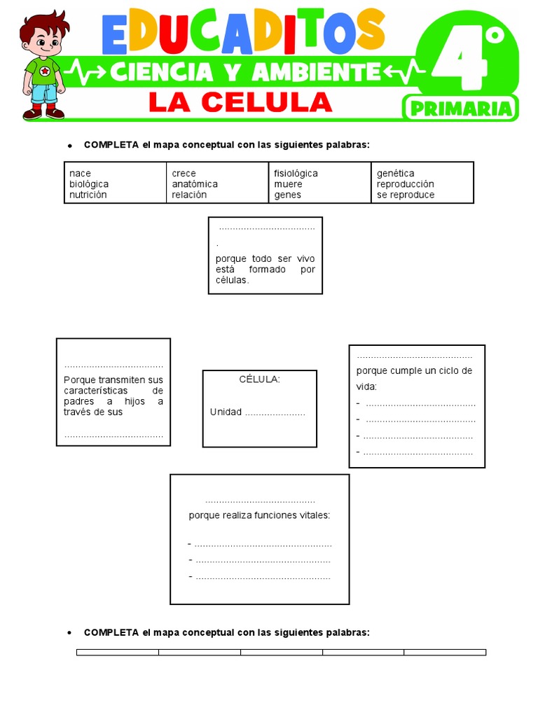 La Celula para Cuarto Grado de Primaria | PDF | Biología Celular ...