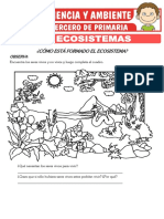 Los Ecosistemas para Tercero de Primaria