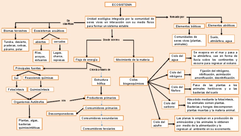 Mapa Conceptual del Ecosistema | PDF | Biologia de sistemas | Ciencias ...