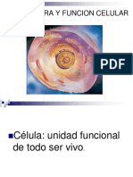 2.2.estructura y Función Celular PRISCILA