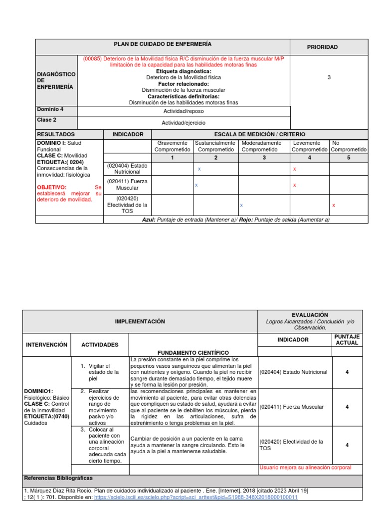 Plan de Cuidado de Enfermería | PDF | Medicina CLINICA | Especialidades ...