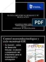 Ciclo Menstrual