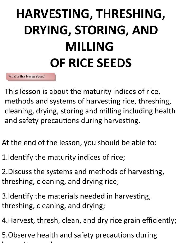 Understanding Rice Threshing Methods | PDF | Rice | Harvest