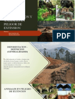 Deforestacion Y Animales en Peligor de Extinsion