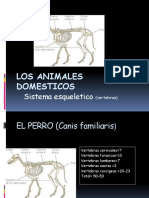 Los Animales Domesticos: Sistema Esqueletico