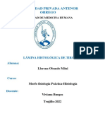 Histología de tiroides: lámina histológica