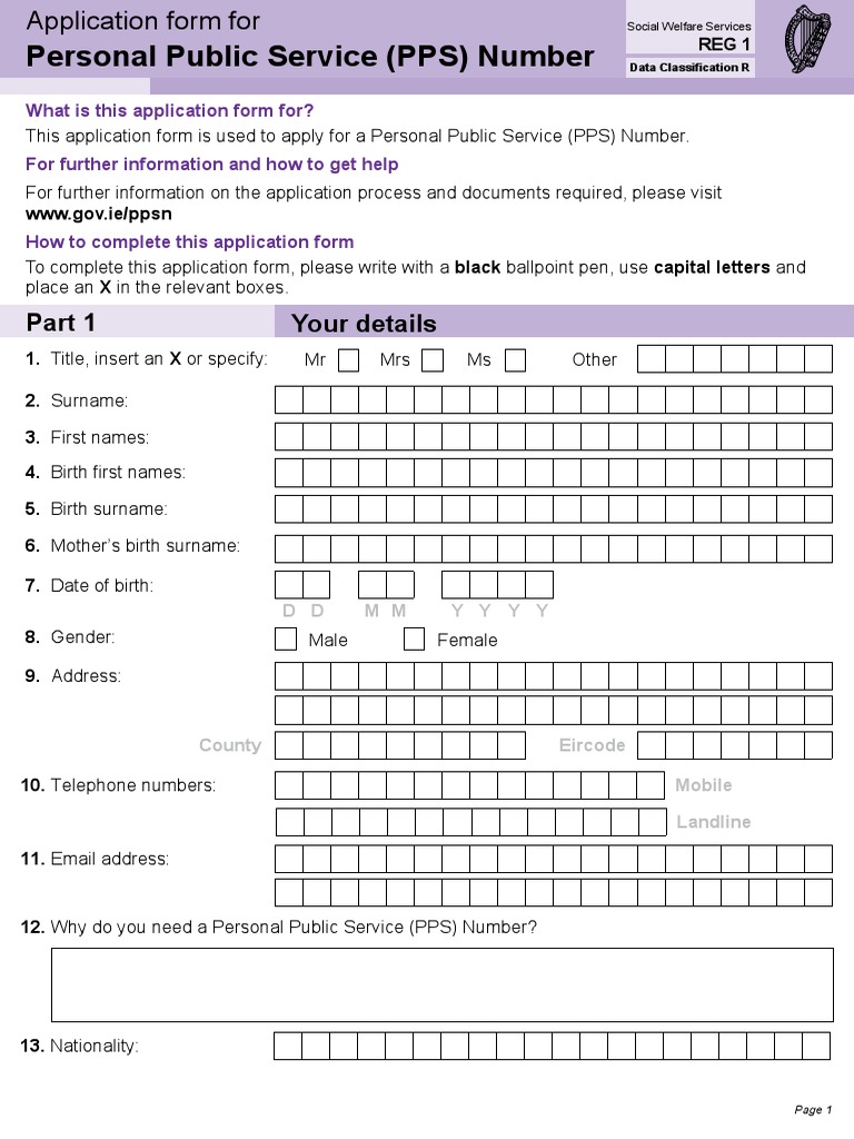 personal-public-service-pps-number-your-details-pdf-biometrics