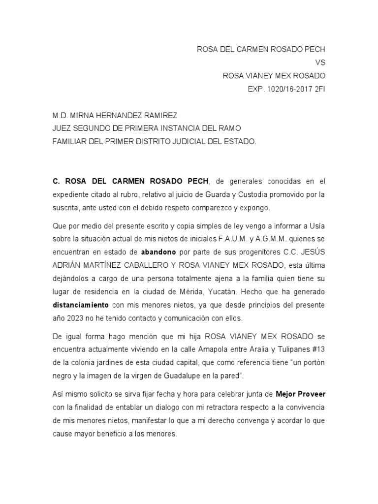 Prueba Para Mejor Proveer In English