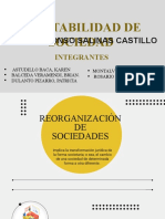 Contabilidad de Sociedad: C.P.C. Alfonso Salinas Castillo