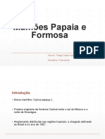 Mamões Papaia e Formosa: origem, características e produção