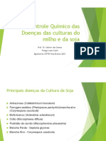 Controle Químico Das Doenças Milho e Soja Prof. Idalmir PDF