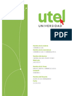 Ensayo Metas Criminologicas