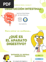 Ángulo de Treitz: Anatomía y Ubicación | PDF