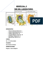 Informe Grupo 5: Células vegetales y animales bajo el microscopio